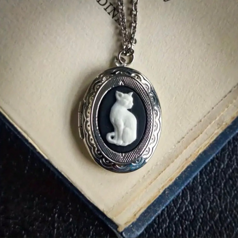 Elegant Silver Cat Locket Necklace